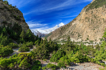 Fototapeta na wymiar Valley on the Annapurna circuit between Marpha and Kalapani, Nepal