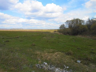 Landscape in the field with first grass, trees and clouds, floating on the sky.