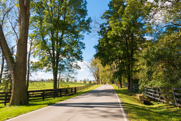 Country road along forse farms.