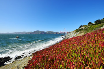 Golden Gate Bridge and San Francisco Bay from Marshall's Beach