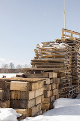 A pile of natural wood waste ready for recycling and reuse to preserve the environment.
