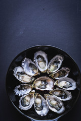 oysters
