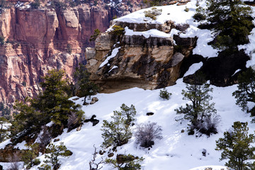 Grand Canyon in Spring