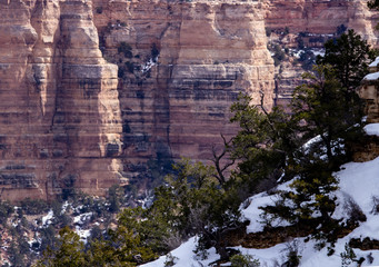 Fototapeta na wymiar Grand Canyon in Spring