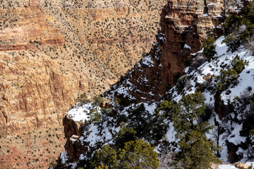Grand Canyon in Spring