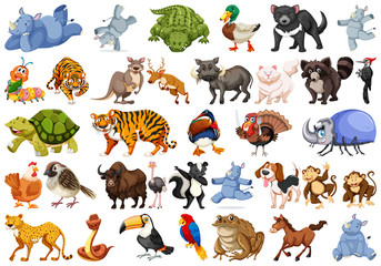 Set of animals sets