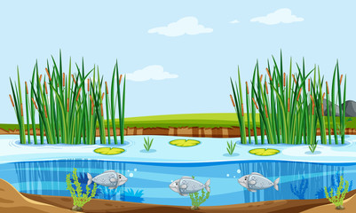 Fish pond nature scene