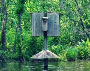 wooden bird house in the middle of a river with trees in the background