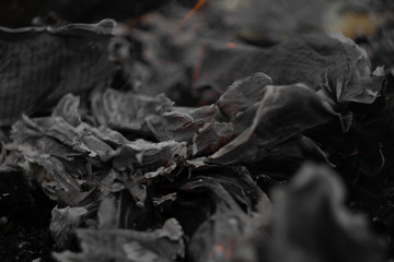 Smoldering remains of a burned book burned text