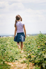 Girl in a field of strawberries