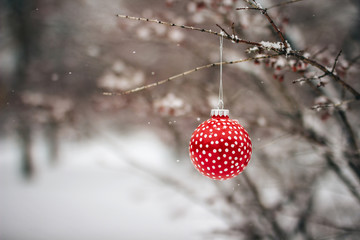 Red Christmas Ornament Hanging In a Tree.
