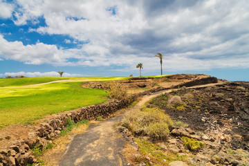 Beautiful landscape of a golf court with palm trees