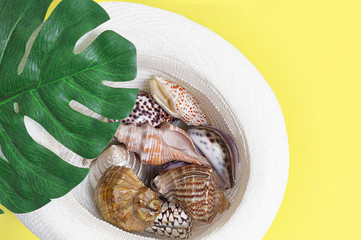 Seashells in the beach hat. On yellow background. The concept of leisure, travel, beach holidays. Selective focus, flat lay, layout.