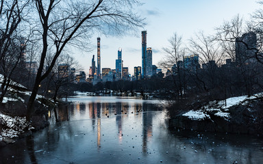new york skyline from the park