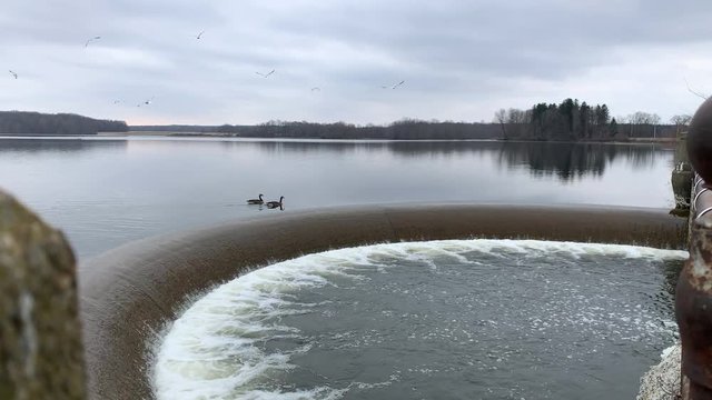 A wide shot of ducks and seagulls near the spillway on the Pymatuning Reservoir.  	