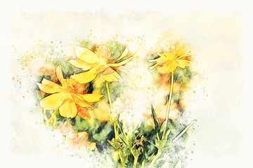 Abstract colorful flower blooming watercolor illustration painting background.