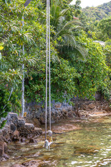 Swing hang from tropical tree over sand beach in garden, Thailand. Summer, travel, vacation and holiday concept