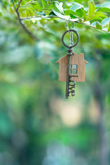 Home key with house keyring hanging with green garden background