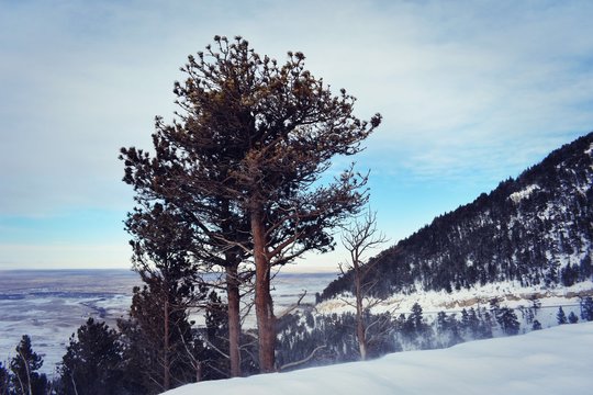 Casper Mountain Lookout 