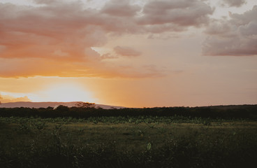 late afternoon at sunset orange on the farm / final de tarde ao pôr do sol laranja na fazenda
