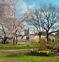 April in Cambridge, Massachusetts