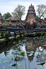 Fototapeta na wymiar Lotus Temple, Bali