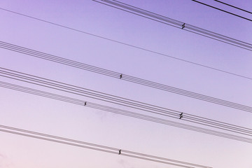 Powerline brackets separating wires.