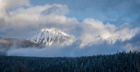 Clouds Lifting over the Boreal Winter Forest