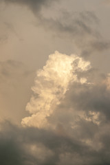 Cumulus Cloud in the Evening Sun Light