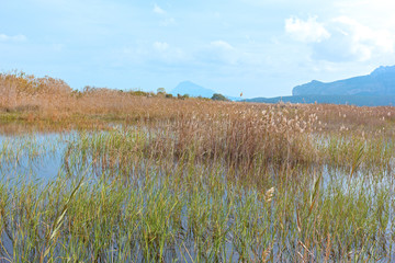 Landscape of wetlands surrounded by mountains and paddy fields. Birds sanctuary in Park Marjal, Pego, Spain.