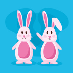 Fototapeta premium cute rabbits couple