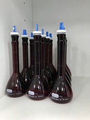 Tomato (Solanum lycopersicum,  Family Solanaceae) growing beside concrete road