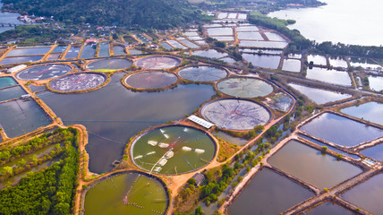 Aerial view of shrimp farm and air purifier in Thailand. - 254576749
