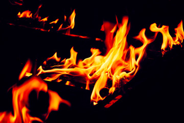Fire flames on a black background
