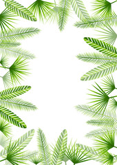 Fototapeta na wymiar Summer background with green tropical leaves frame