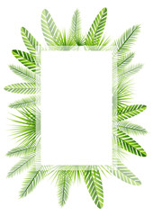 Summer background with green tropical leaves frame