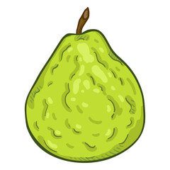 Vector Cartoon Whole Green Guava Fruit