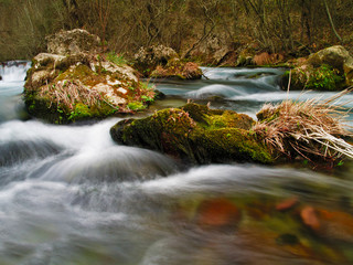 Lousios river in Peloponnese, Greece. Long exposure, water effect.