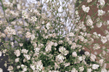 beautiful white flower blossom bouquet