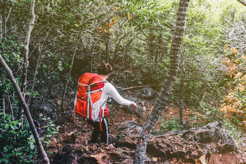 Tourist trekking women with backpack travel in tropical forest