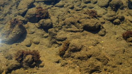 Stone reef beside beach with seaweed under the sea water.