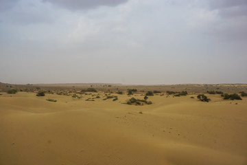 Fototapeta na wymiar Sand dunes of the desert in Rajasthan, India