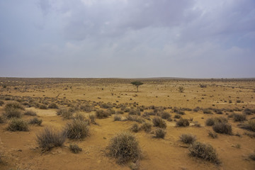 In the middle of the desert in Rajasthan, India