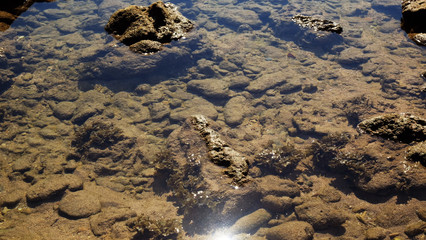 Fototapeta na wymiar Stone reef beside beach with seaweed under the sea water.