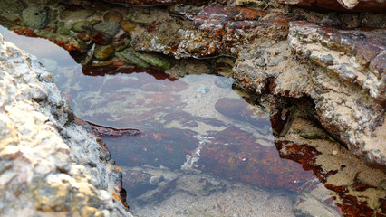 Stone reef on sand beach.