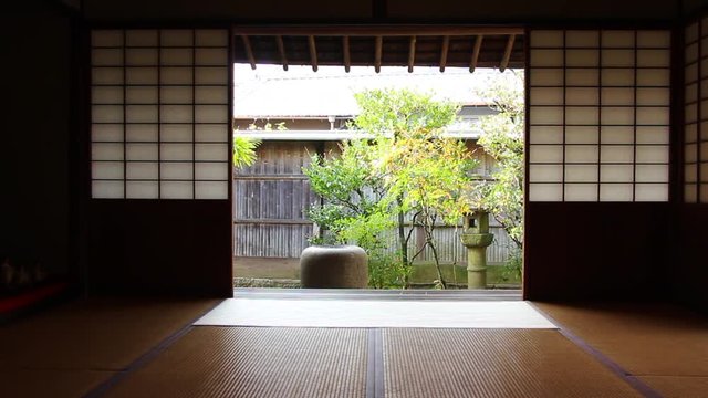和室から見える庭 / Japanese Garden 