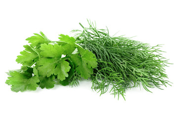 Fototapeta premium Parsley with dill