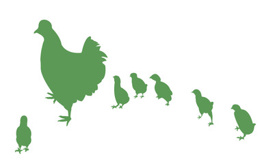 chicken family silhouette vector