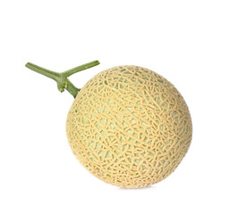 Cantaloupe melon isolated on white background