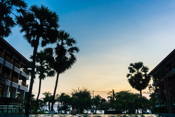 Silhouette palm tree sunset in modern resort with swimming pool